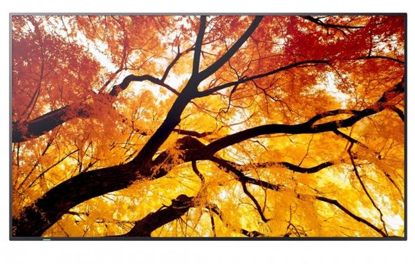 Monitor NEC Ekran MultiSync M502
