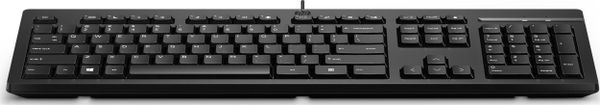 Karta sieciowa HP Karta sieciowa 125 USB KBD (12 w opakowaniu zbiorczym)