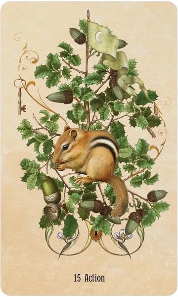 Cartamundi Unlocking the Secret Garden Oracle SCG44