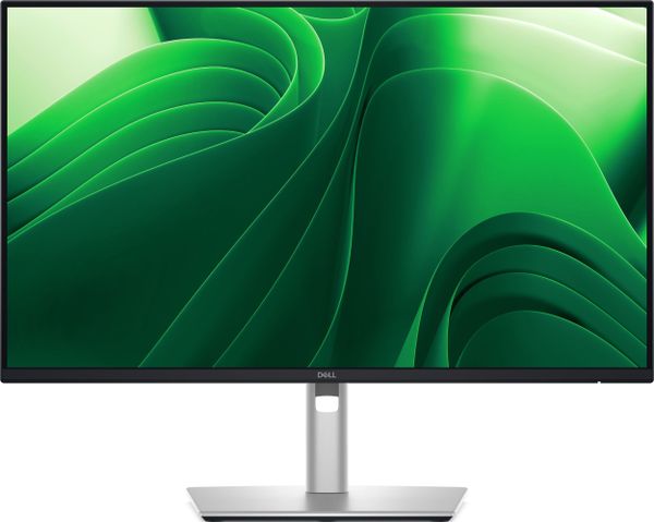Monitor Dell Pro Plus P2425D (210-BQMX/5Y)